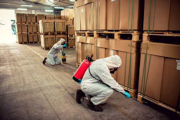 Trusted New Boston, TX Pest Control Experts
