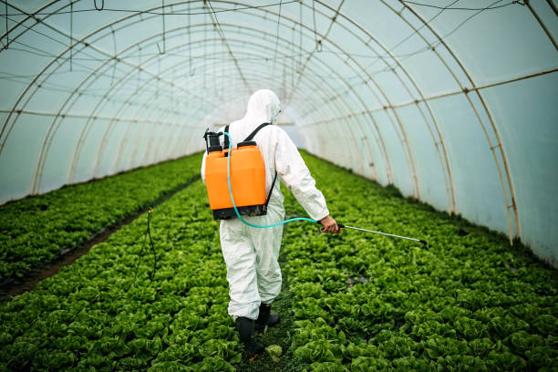 Professional Pest Control in New Boston, TX