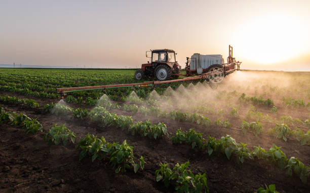 Best Commercial Pest Control Services  in New Boston, TX