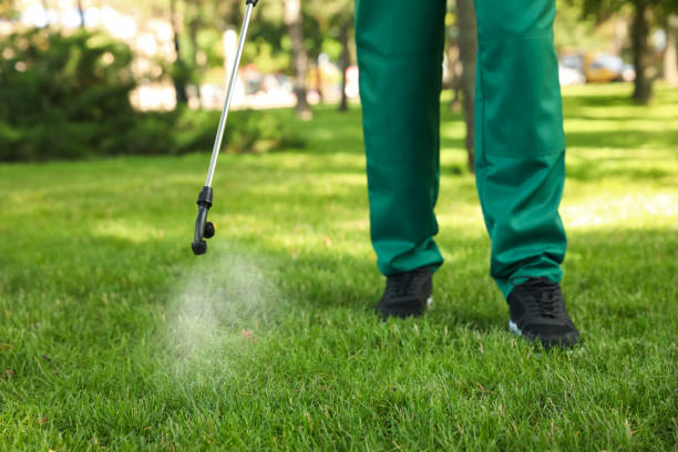 Best Pest Inspection Near Me  in New Boston, TX