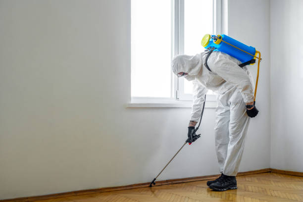 Best Emergency Pest Control  in New Boston, TX