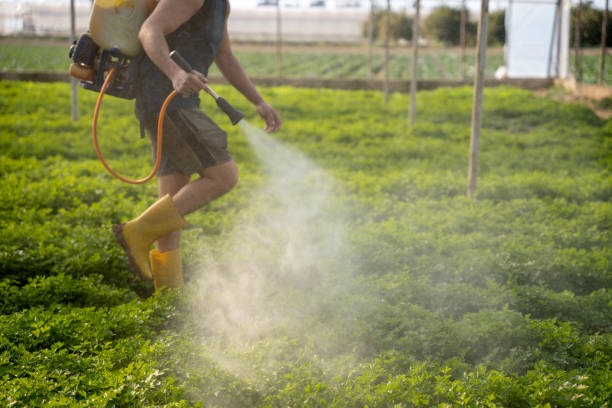 Best Pest Control for Businesses  in New Boston, TX