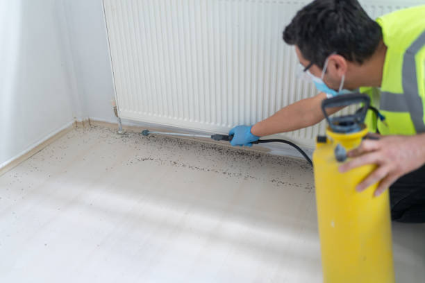 Best Pest Control Near Me  in New Boston, TX